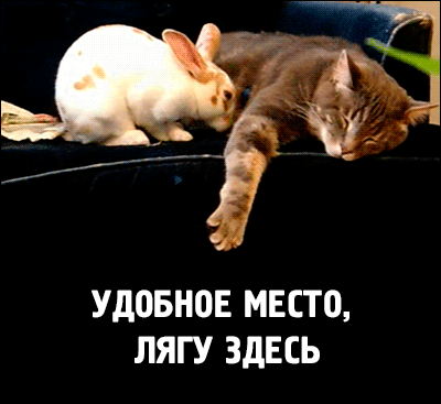 УДОБНОЕ МЕСТО ЛЯГУ ЗДЕСЬ