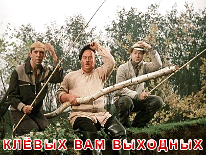 517 140 щ щш ыжщиыж