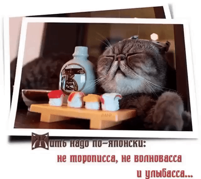 пз шицьпшш не в и