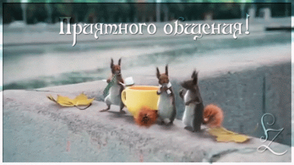 П т ч