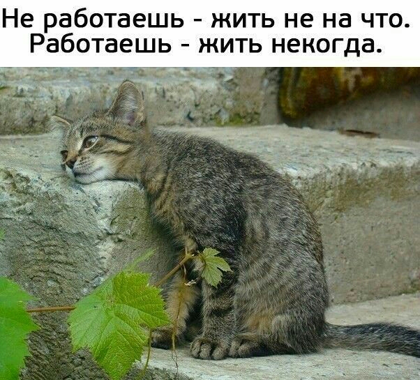 Не работаешь жить не на что Работаеш