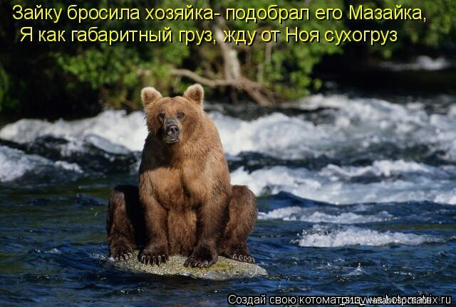 Зайку бросила хозяйка _подобраі его Мда Ика Я как габарИТньнУі груз _ду от Ноя тъмогруз