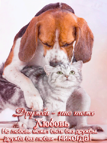 и _ Мммм ЩШШЗЫ