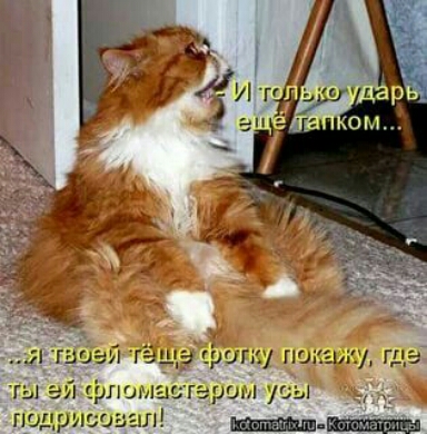 иа гёш э фиггу по ГЫ ПО12 герои уса гшцрисо