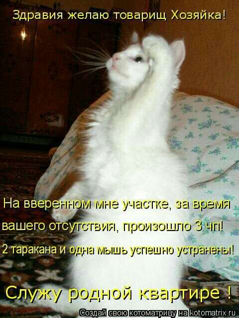 _пэ эя жэпаь тсззригі Устка