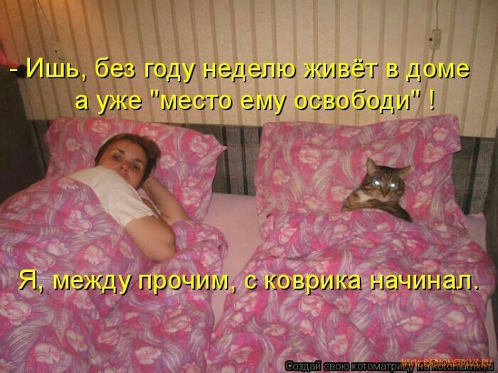 Ц дзе год нед элт915 ёг чаш13 не ме ему ос зободи так у про ешь онс нгылнсш