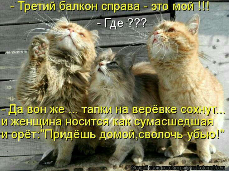 чумасше св6почі у ю