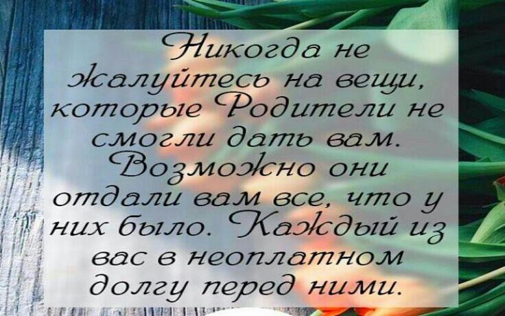 1 тикогдо не Жалуйтесь на вещи которые Родители не смогли дата вам одмоэсно они отдали вам все что у С них было дэсдый 113 вас в неоплдтном А долгу перед ними ППГГ