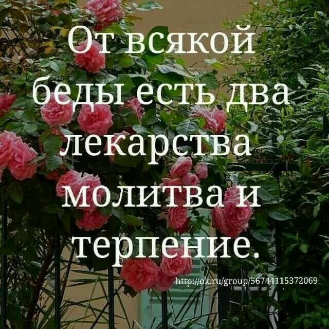 1 всгдёдвё Ж ЙеЁаРЁЁаАо _ 1 МОЛИТВЗЁД ТерПеЁИе и шквто ріё й15372069