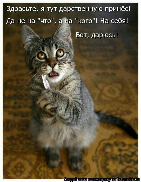 Здрасьте я тут дарственную принёс Да не на что аа кого На себя Вот дарюсь
