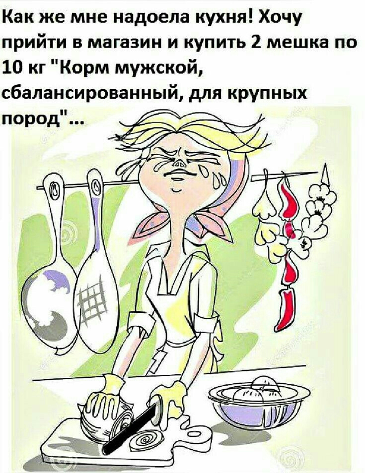 Как же мне надоела кухня Хочу прийти в магазин и купить 2 мешка по 10 кг Корм мужской сбалансированный для крупных