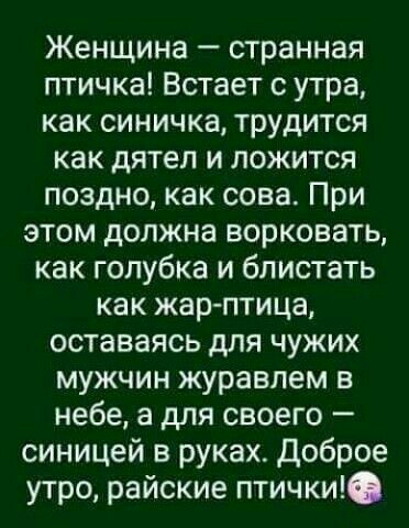 Женщина странная птичка Встает с утра как синичка трудится как дятел и ложится поздно как сова При этом должна ворковать как голубка и блистать как жар птица оставаясь для чужих мужчин журавлем в небе а для своего синицей в руках Доброе утро райские птички