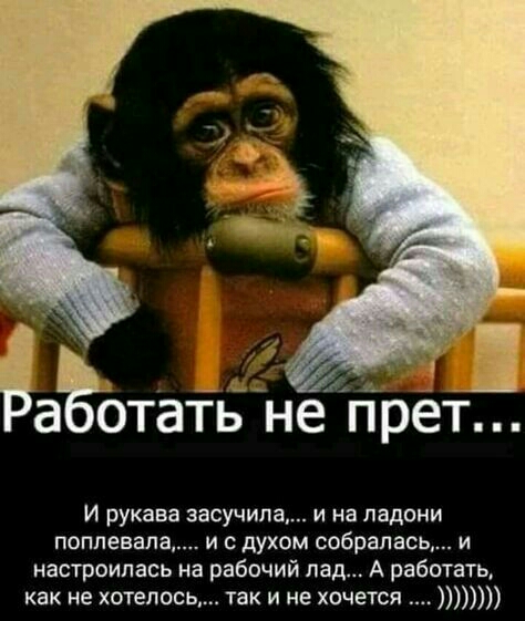 __ 1 а Отать не гТрёТ И рукава засучипа и на ладони питания и с духом собралась и настроилась на рабочий пад А работать как не хотелось так и не хочется