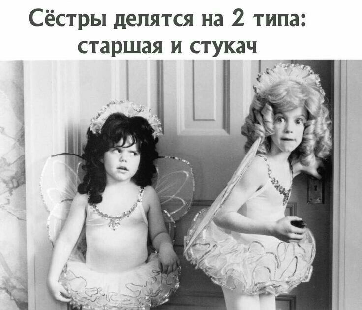 Сёстры делятся на 2 типа старшая и стукач