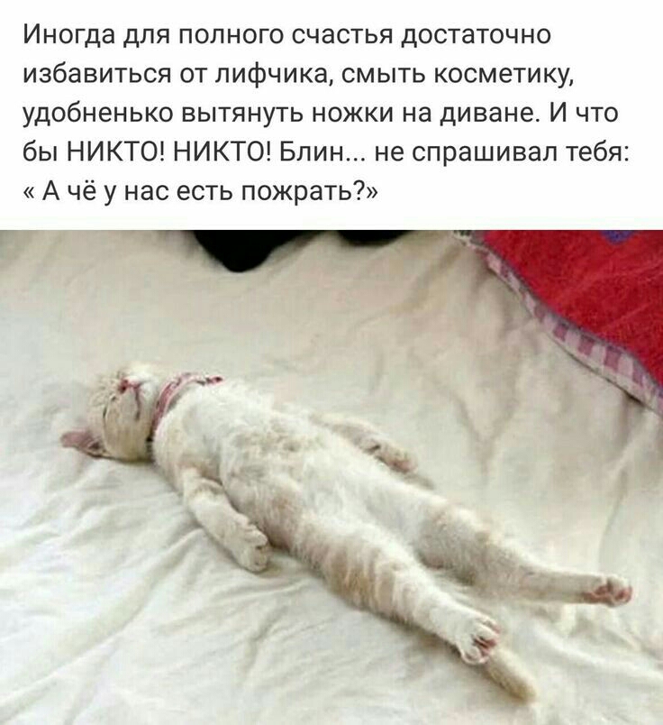 Иногда для полного счастья достаточно избавиться от лифчика смыть косметику удобненько вытянуть ножки на диване И что бы НИКТО НИКТО Блин не спрашивал тебя А чё у нас есть пожрать