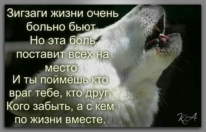 Зигзаги жизни очень больно бь Но эта х_м враг тебе Кого забыть а о по жизни еместе