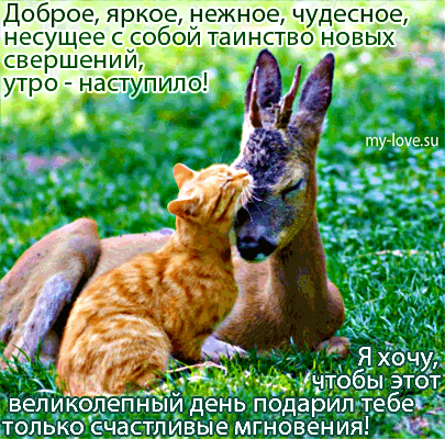 Доброе яркое нежноёгчудес ь несущее сдеобэи та уьыствоцовых