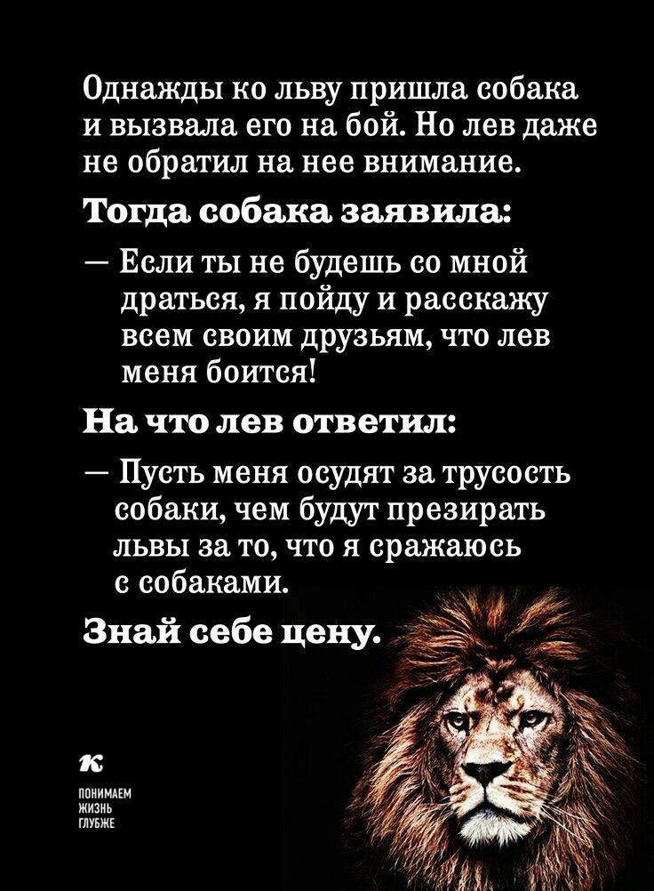 Однажды ко льву пришла собака и вызвала его на бой Но лев даже не обратил на нее внимание Тогда собака заявила Если ты не будешь со мной драться я пойду и расскажу всем своим друзьям что лев меня боится На ЧТО лев ответил Пусть меня осудят за трусость собаки чем будут презирать львы за то что я сражаюсь с собаками Знай себе цену И ппииидем жизнь шьжг