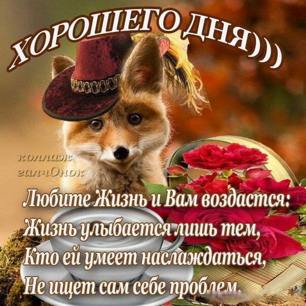 ЛюбитеЖизнЧВам еоздастш Жизнаь льіб_аетсятишь тем анну пицце Кто вы умеет нашшдедаться Не ищет сам себе про