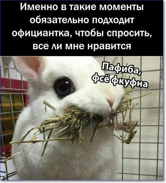 Именно в такие моменты обязатедьно подходит официантка чтобы спросить все АИ мне нравится