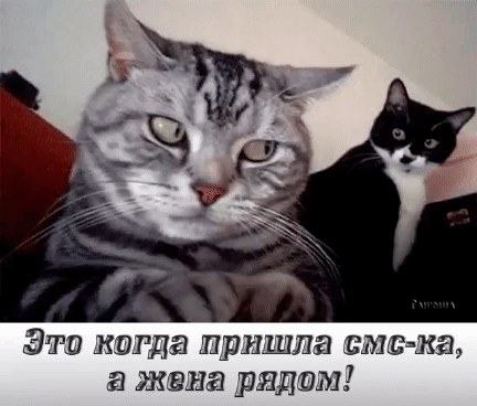 Эти кагда пришла взлета акти рядам