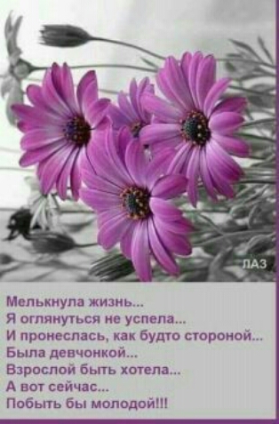 Мелькнула жизнь Я оглянуться не успела И пронеслась как будто стороной Была девчонкой Взрослой быть хотела А вот сейчас Побыть бы молодой