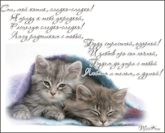 Сим ма Митю сми тисъёки Нуук Магддшдмш мцы иии ки шадтсвь Иь1мъ мибдиі душами дмы дааУи а ищ гійт ш телаш Жщшё