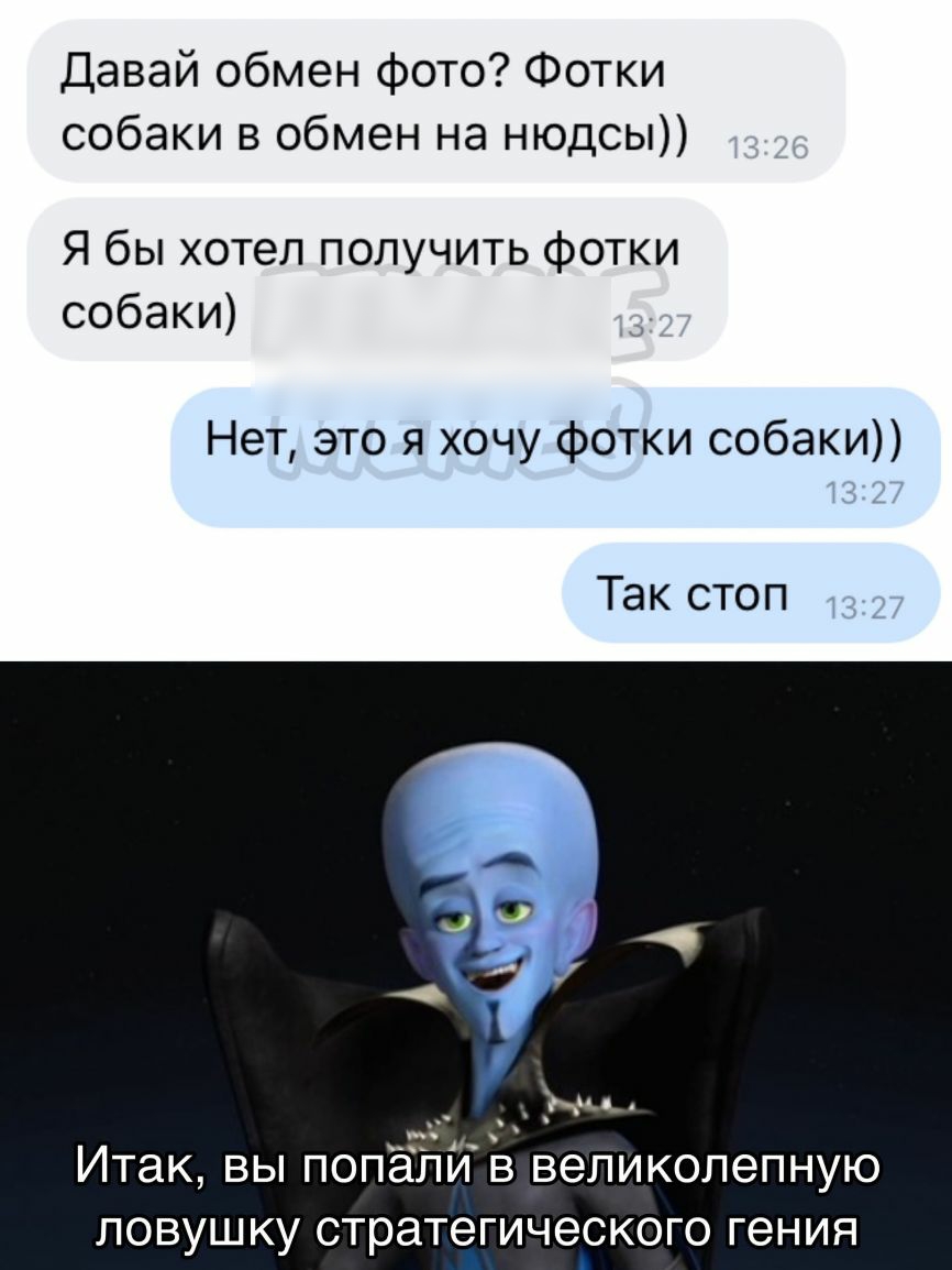 Давай обмен фото Фотки собаки в обмен на нюдсы Я бы хотел получить фотки собаки Нет это я хочу фотки собаки Так стоп _ Ж Итак вы попёЁіИв великолепную ловушку стратегического гения