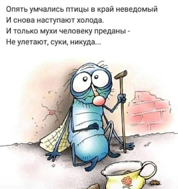 Опять умчались птицы в край неведомый И снова наступают холода И только мухи человеку преданы Не улетают суки никуда