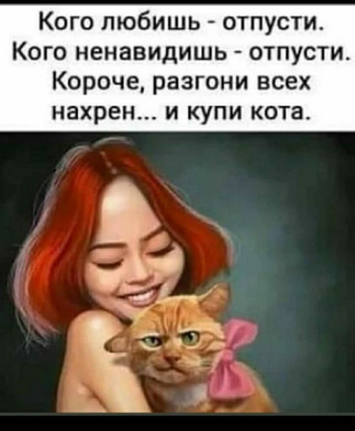 Кого любишь отпусти Кого ненавидишь отпусти Короче разгони всех нахрен и купи кота