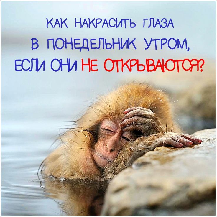 КАК НАКРАСИТЬ ГЛАЗА В ПОНЕДЕЛЬНИК УТРОМ ЕСЛА ОНА