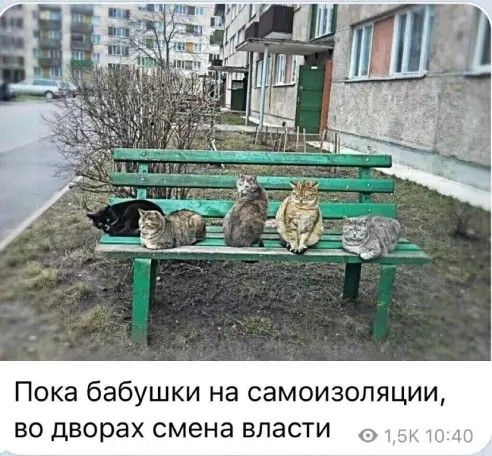 Пока бабушки на самоизопяции во дворах смена власти