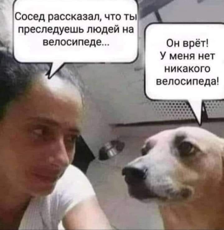 Сосед рассказал ЧТО ТЫ преследуешь ЛЮДЕЙ на велосипеде Он врёт У меня нет никакого велосипеда