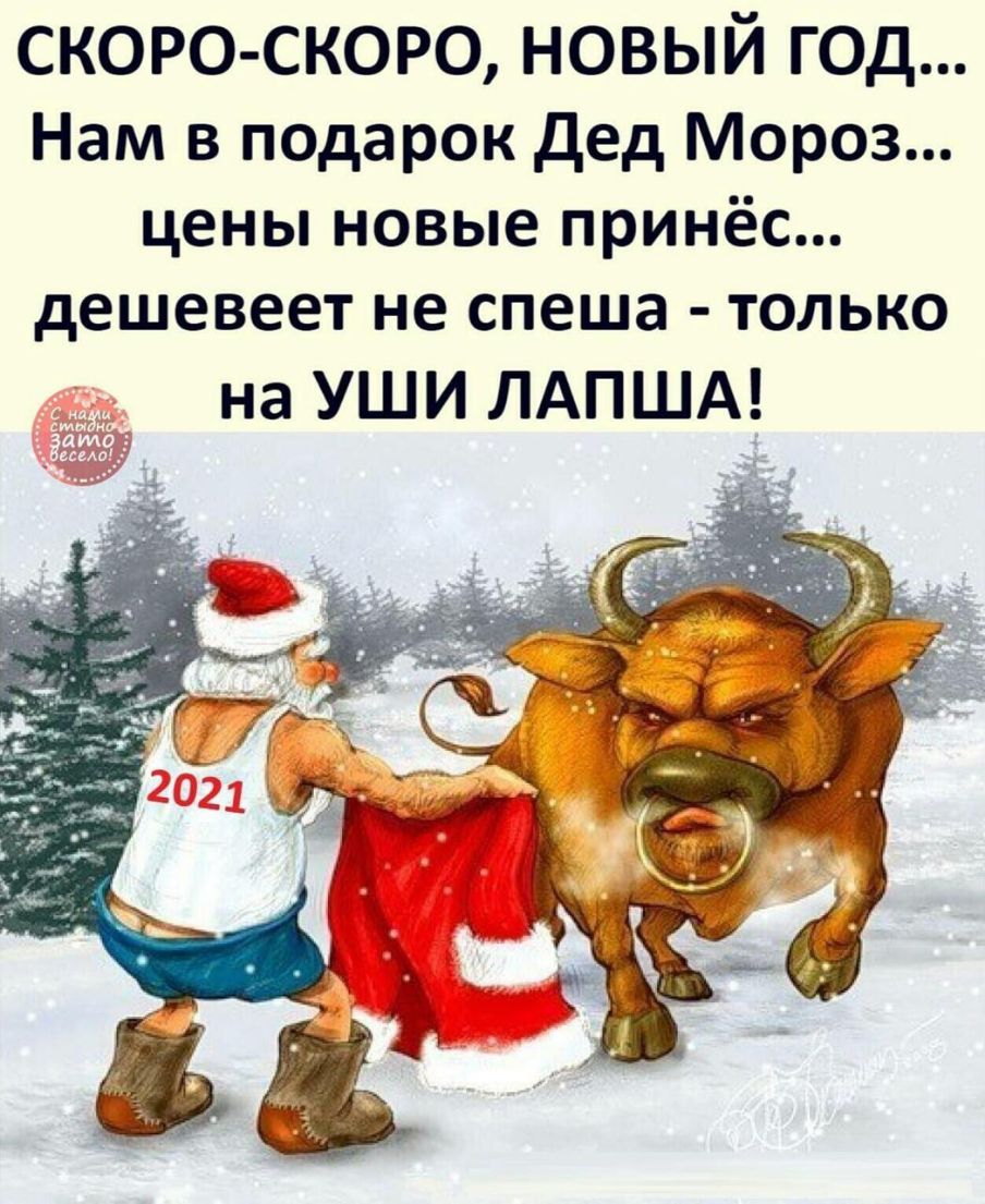скоро скоро новый год Нам в подарок дед Мороз цены новые принёс дешевеет не спеша только на УШИ ЛАПША