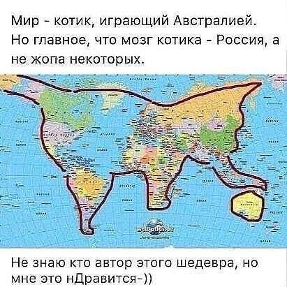 Мир котик играющий Австралией Но главное что мозг котика Россия а не жопа некоторых Не знаю кто автор этого шедевра но мне это ндравитсяп
