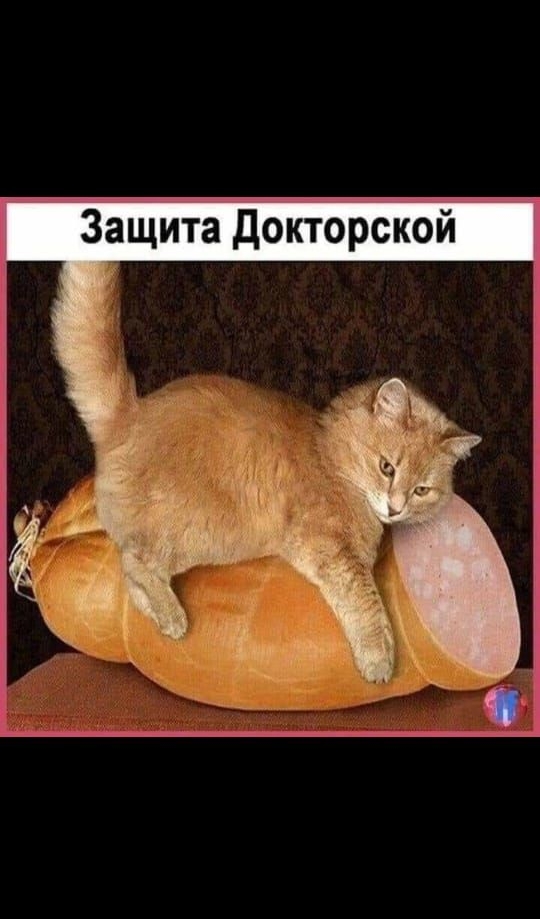 Защита Докторской