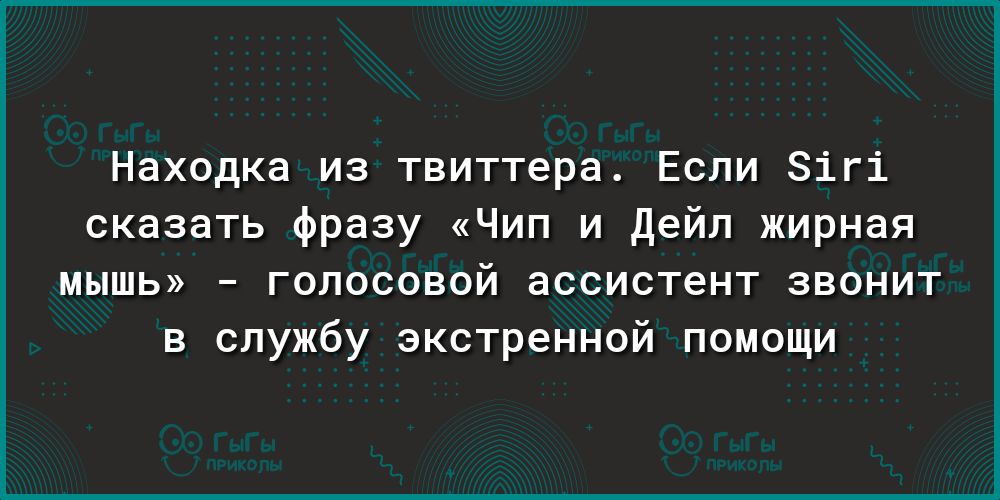 Находка из твиттера Если Зігі сказать фразу Чип и Дейл жирная мышь голосовой ассистент звонит в службу экстренной помощи