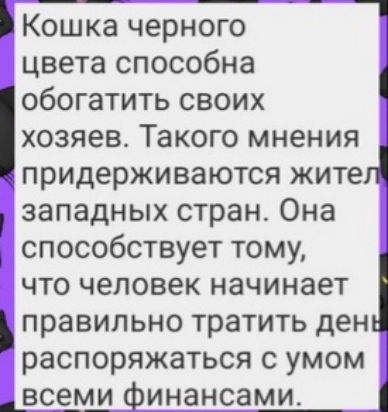 Кошка черного цвета способна обогатить своих хозяев Такого мнения придерживаются жите западных стран Она способствует тому что человек начинает правильно тратить ден распоряжаться с умом инансами