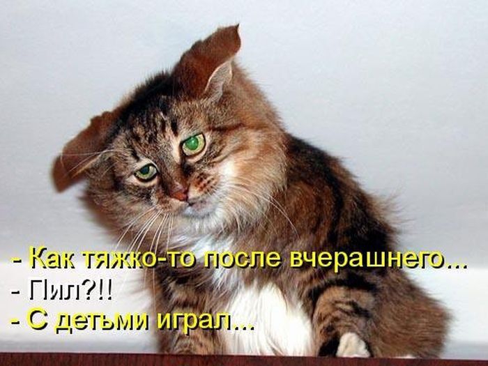 Ёчераш его ПшПН Ё Спишм г п