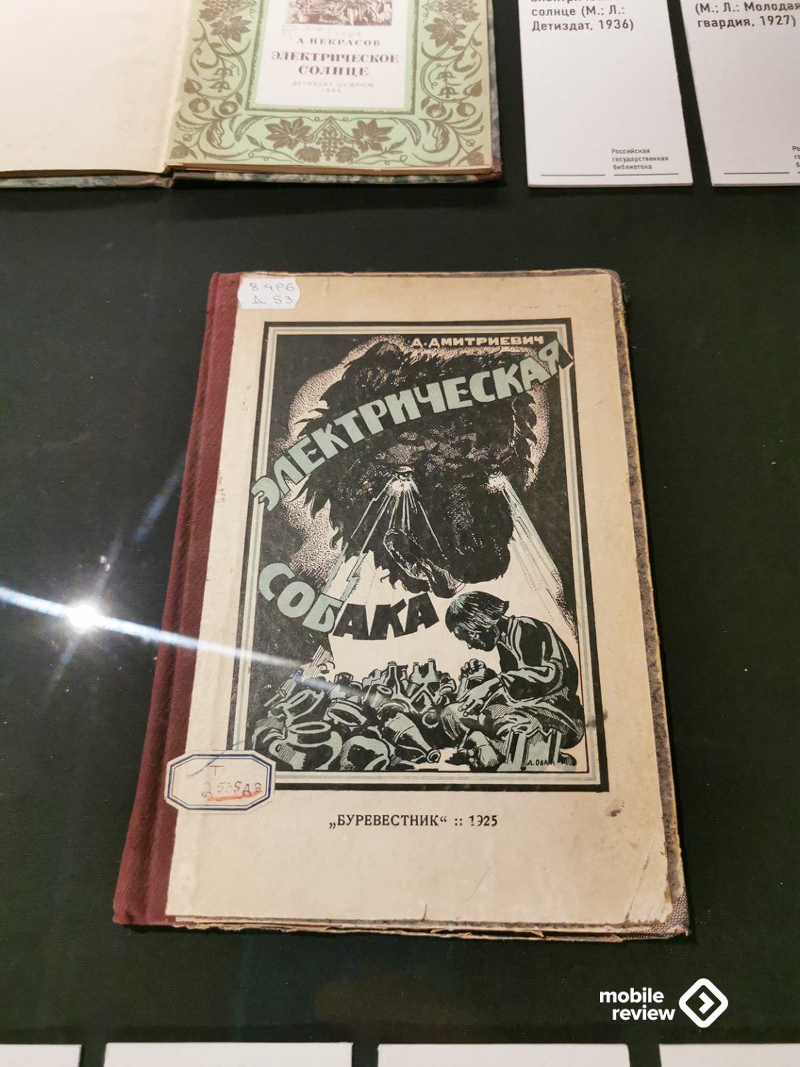 м Мышца верция хип