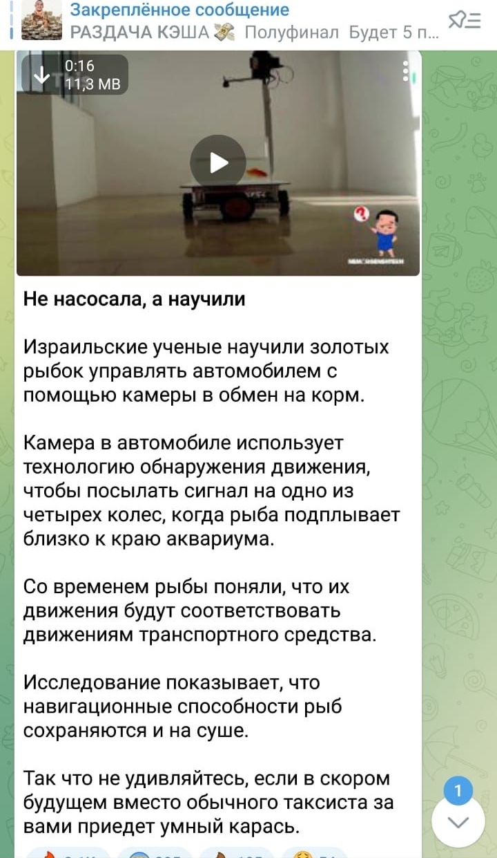 Ё закреплённое сообщение ' раздача кэша 3 полуфинал будет 5 п 0:16 ы 18 мв. Не насосала, а научили израильские ученые научили золотых рыбок управлять автомобилем с помощью камеры в обмен на корм. Камера в автомобиле использует технологию обнарукения движения, чтобы посылать сигнал на одно из. Четырех колес, когда рыба подплывает близко к краю аквариума. Со временем рыбы поняли, что их движения будут соответствовать движениям транспортного средства. Исследование показывает, что навигационные способности рыб сохраняются и на суше. Так что не удивпяйтесь если в скором  будущем вместо обычного таксиста за вами приедет умный карась. Ъ