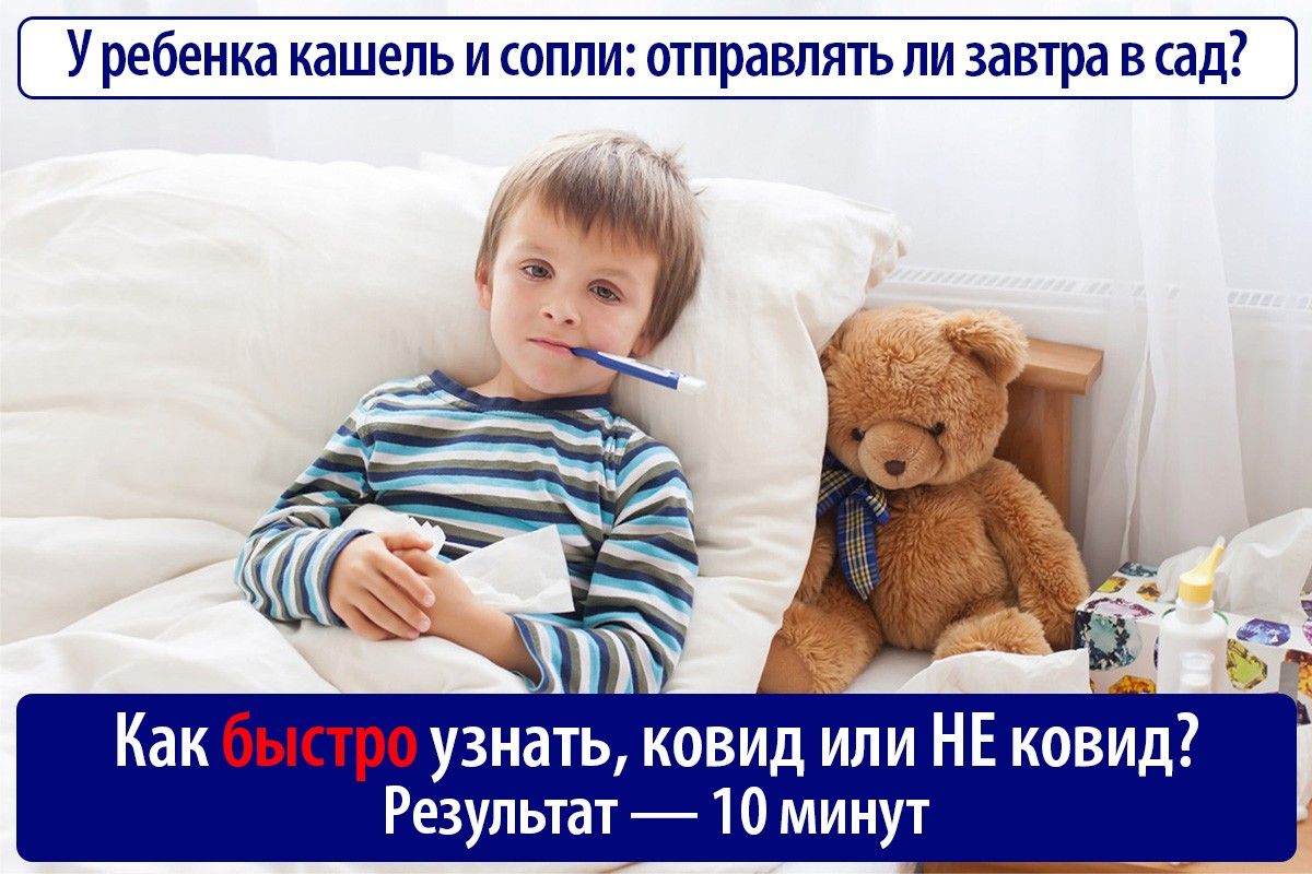 У ребенка КдШЕЛЬ И СОПЛИ отправлять ЛИ завтра В сад Как быстро узнать ковид или НЕ ков Результат 10 минут