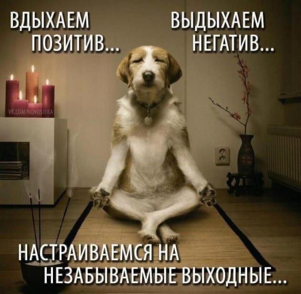 вдыхдвм выдыхмэм позит в НЕГАТИВ