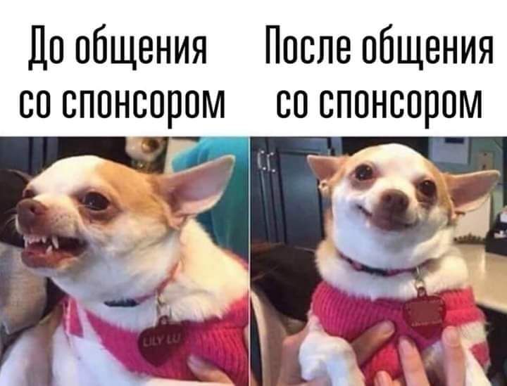 Лп общения После общения со спонсором сп спонсорам