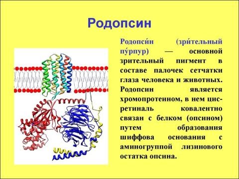 Ат и иш ими питии ими в и ши ттт птицъ гол ищя ритм ним мы шт и алт пт ут ци шииш м ищут пв лима иш и и