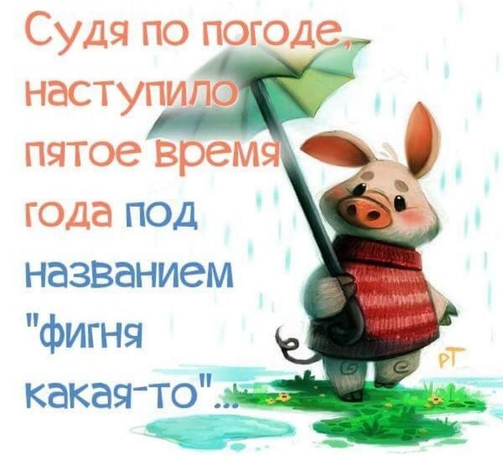 Пятое время. Открытка погода шепчет. Погодка шепчет приколы. Судя по погоде наступило пятое время года фигня какая-то. Открытки погода шепчет займи и выпей.