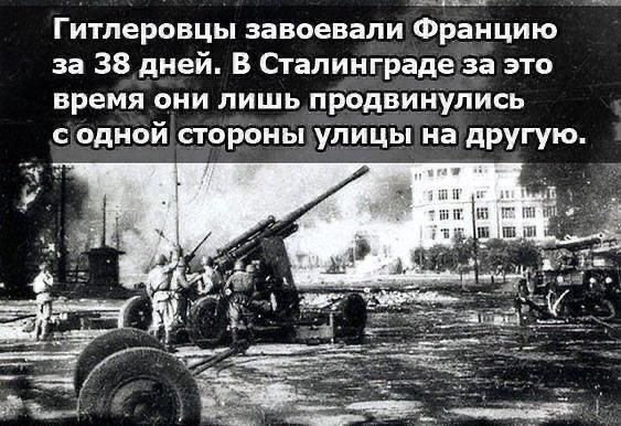 Гитлеровцы завоевали Францию за 38 дней В Сталинграде за это время они лишь продвинулись одной сторвны улицы на другую