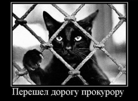 Перешел дорогу прокурору