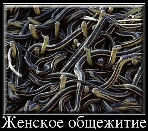 Женское общежитие