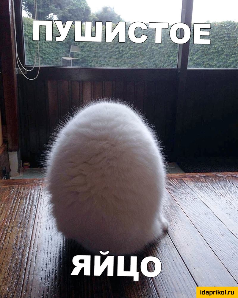 Шаргіішъги